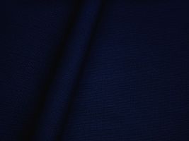 Performatex O'Toplinen Navy Indoor / Outdoor Fabric