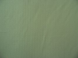 Remnant- Belissima Sage Fabric
