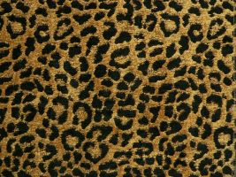 Leopardo Gold Upholstery Fabric