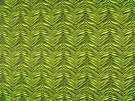 Little Tiger Chartreuse / Black Fabric