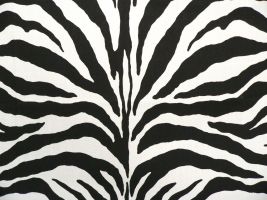 Zebra Black - Indoor/Outdoor Fabric (OUT OF STOCK)