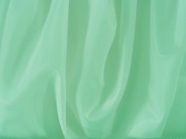 Polyester Lining Mint Fabric