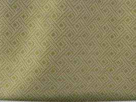 Winona Lime Fabric