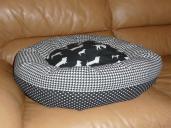 Soft and squishy doggie bed